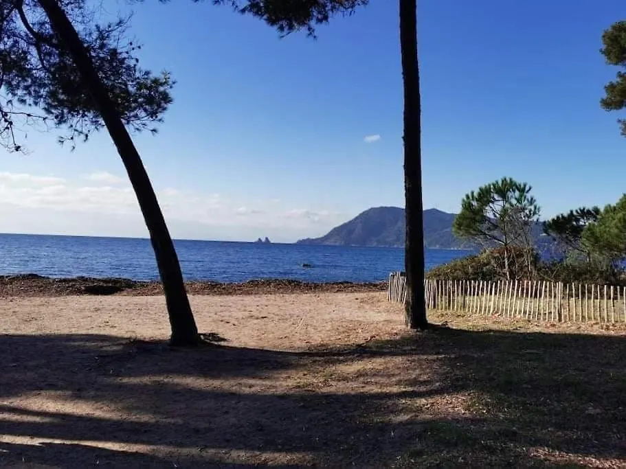 Appartement Joli Studio Renove Dans Station Balneaire. à Saint-Mandrier-sur-Mer