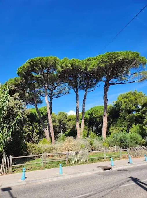 Appartement Joli Studio Renove Dans Station Balneaire. à Saint-Mandrier-sur-Mer