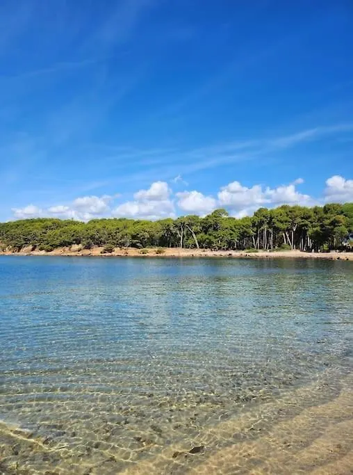 Appartement Joli Studio Renove Dans Station Balneaire. à Saint-Mandrier-sur-Mer